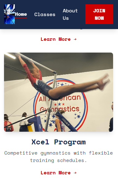 All American Gymnastics